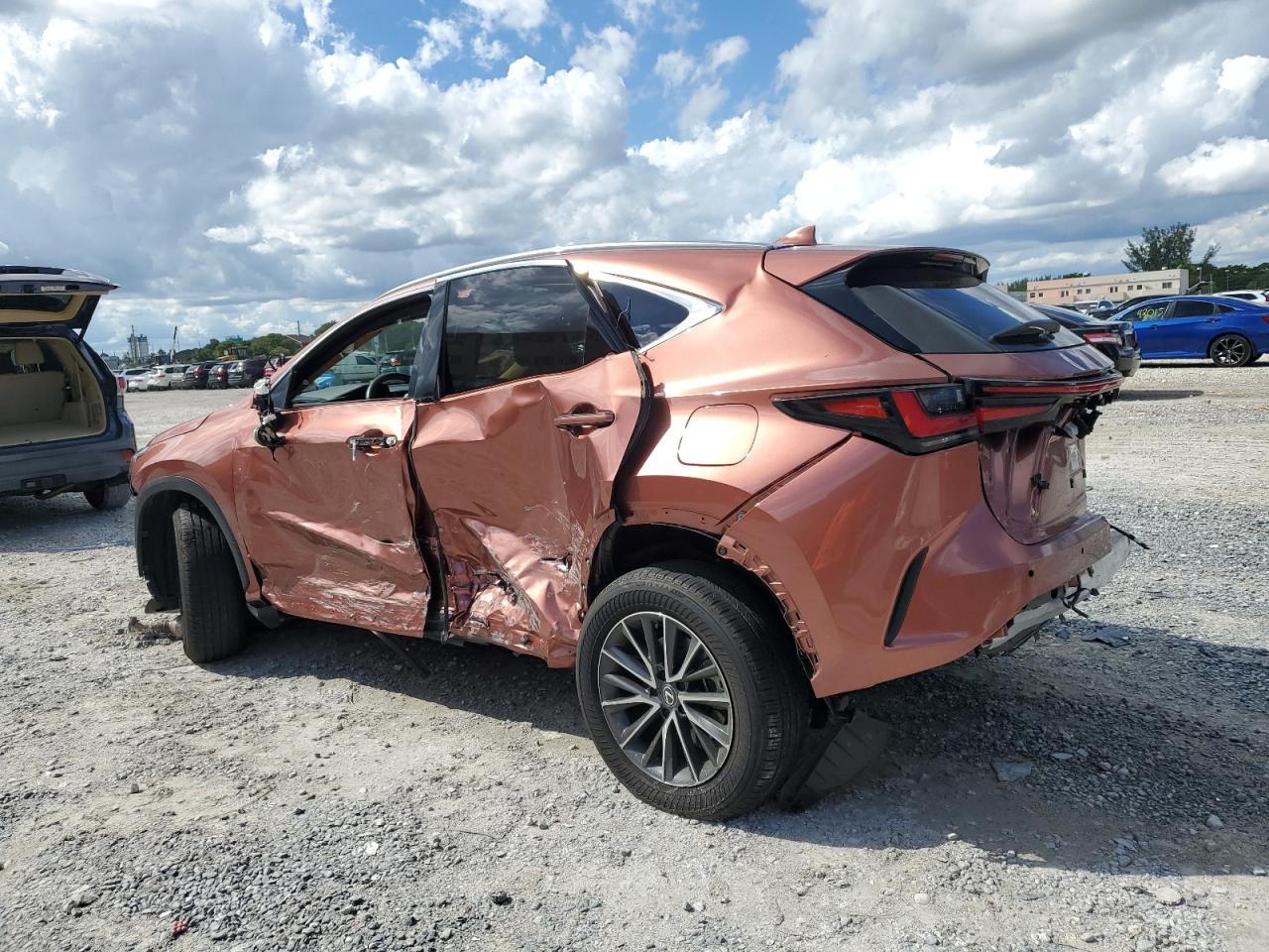 2025 LEXUS NX 250 BASE photo 4
