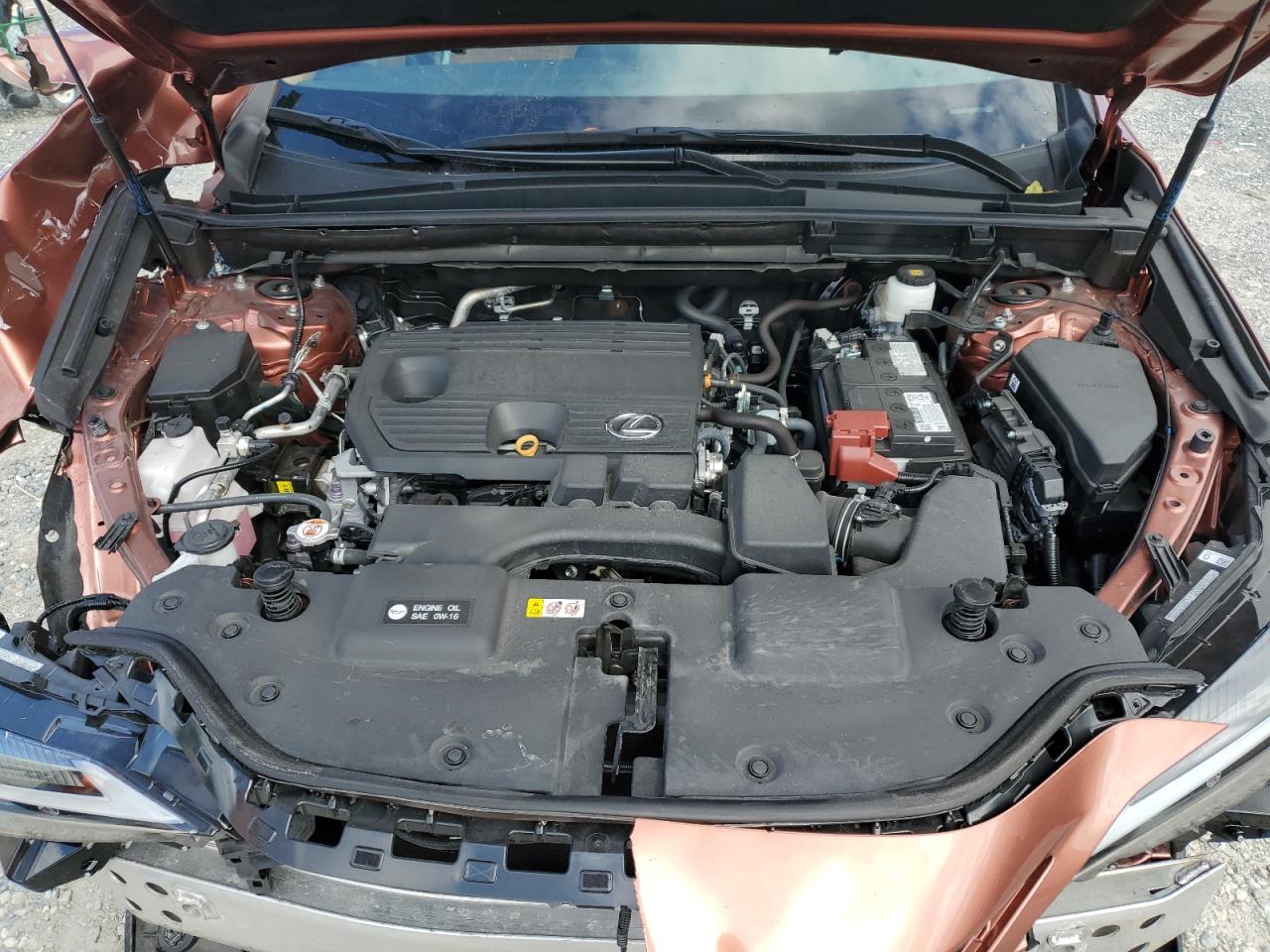 2025 LEXUS NX 250 BASE photo 34