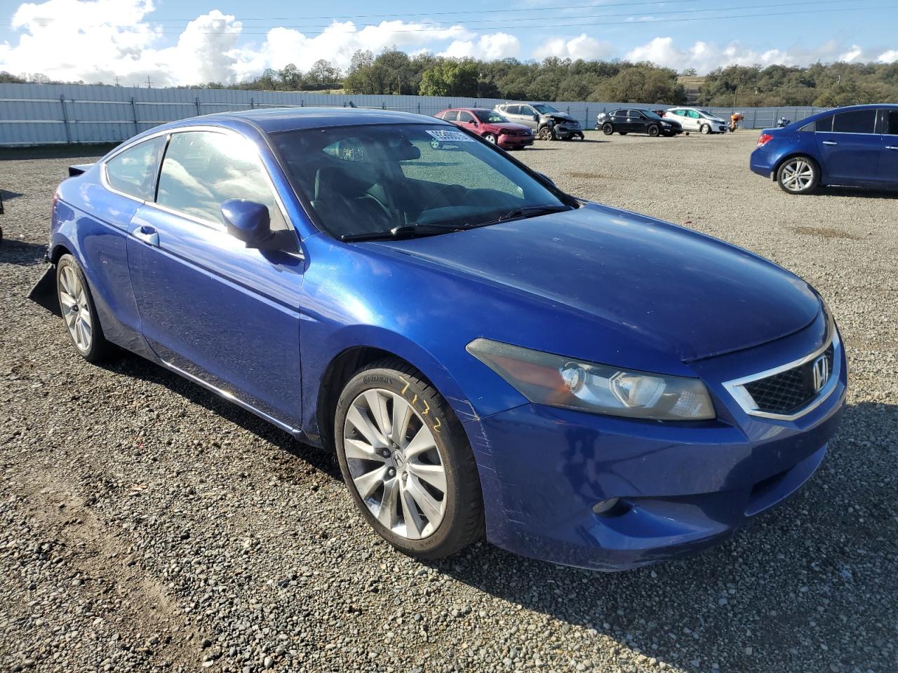 2010 HONDA ACCORD EXL photo 10