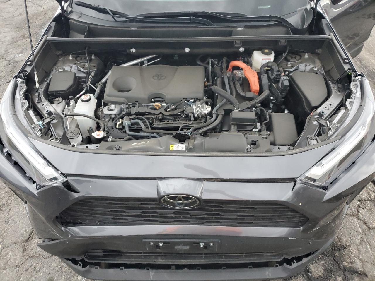 2025 TOYOTA RAV4 XLE photo 12