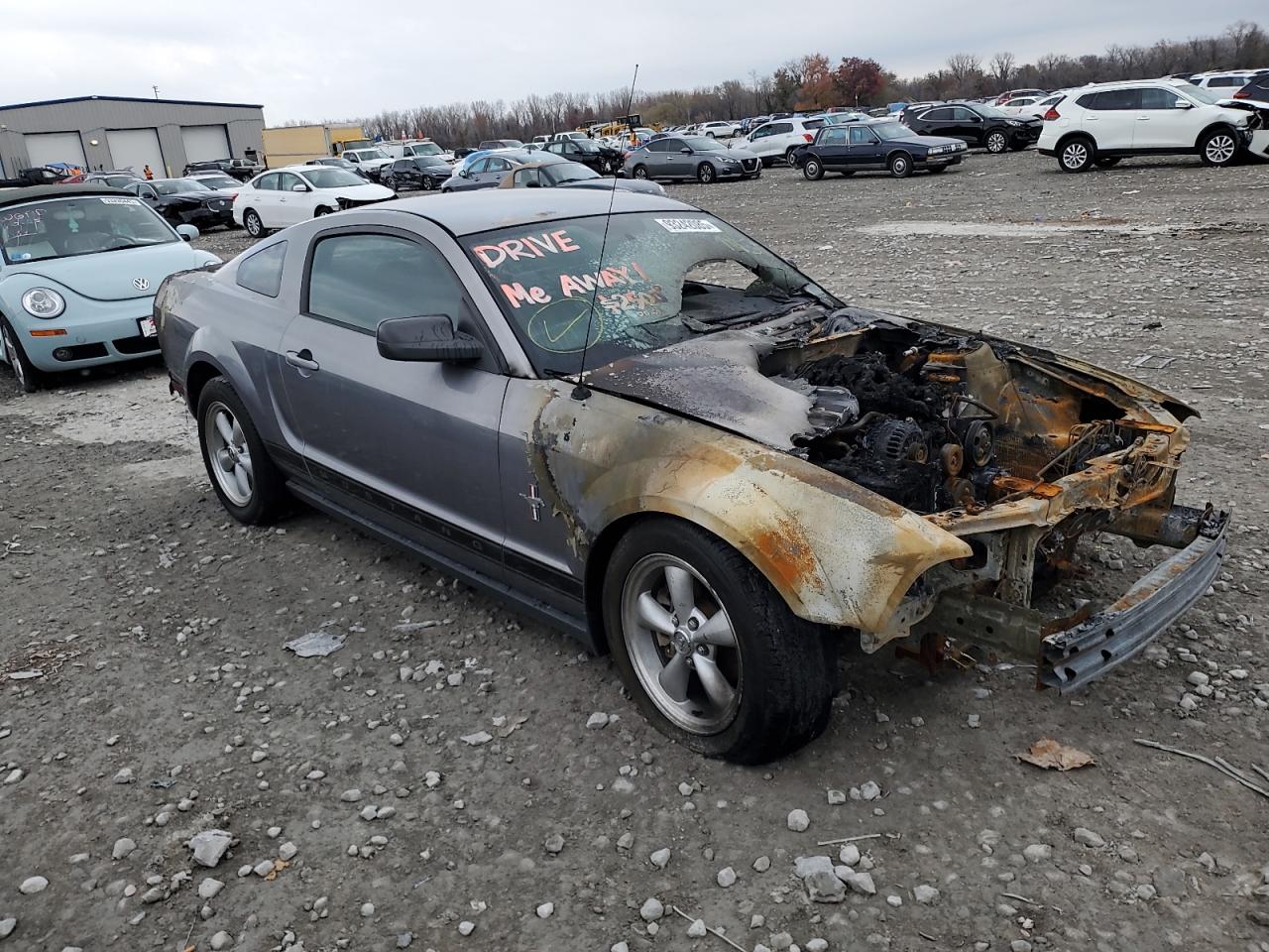 2006 FORD MUSTANG photo 4
