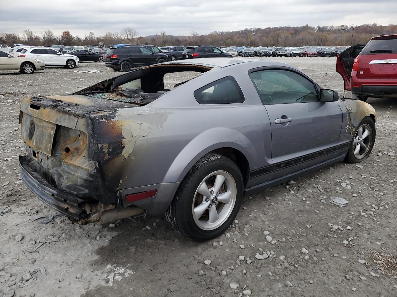 2006 FORD MUSTANG photo 3