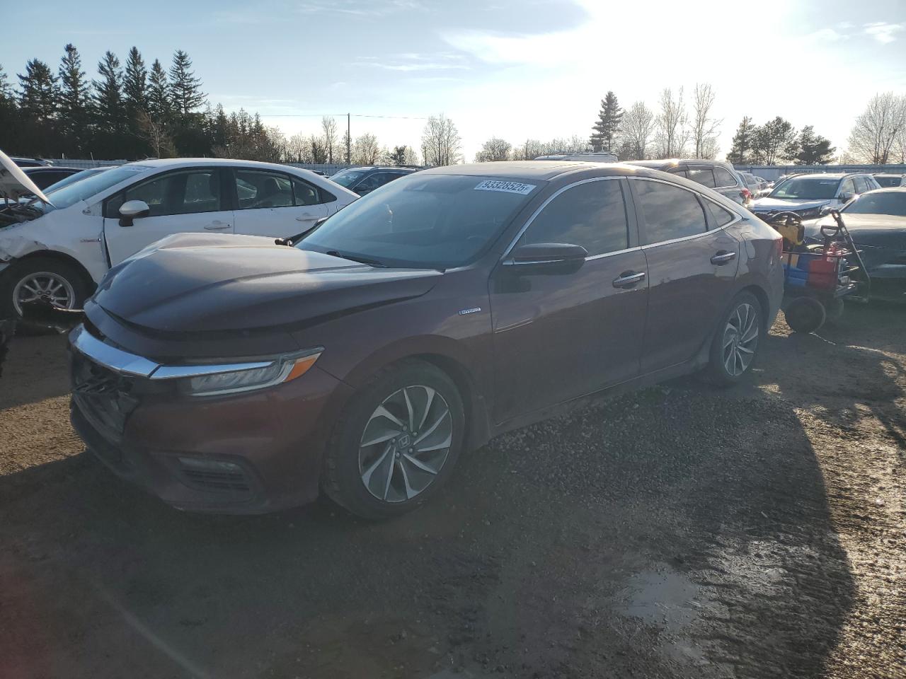 2019 HONDA INSIGHT