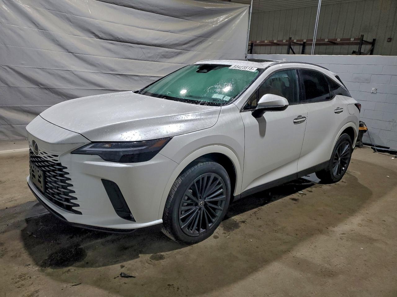 2025 LEXUS RX