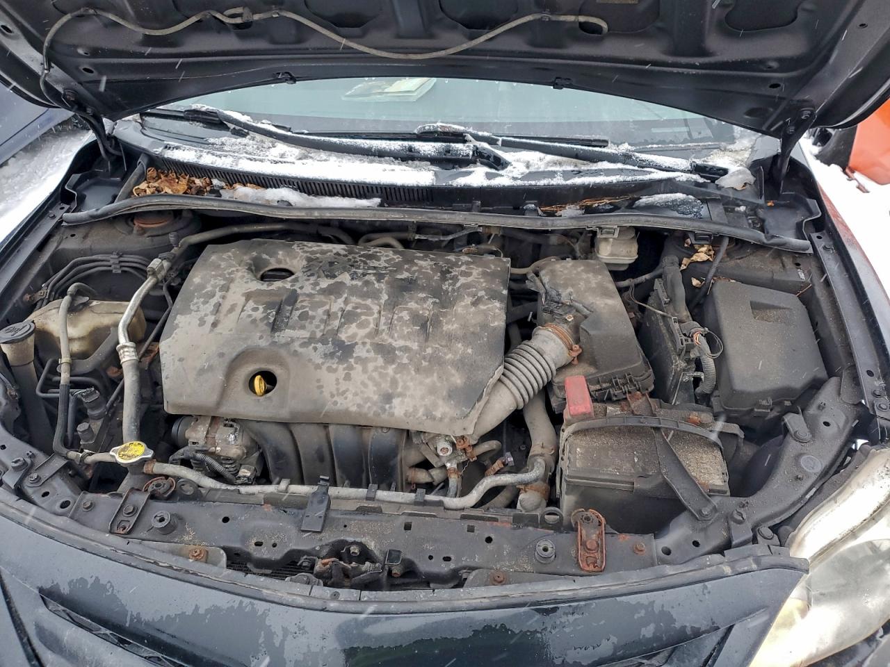 2013 TOYOTA COROLLA BASE photo 11