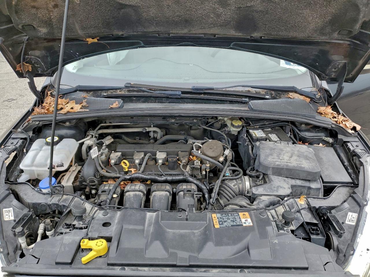 2015 FORD FOCUS SE photo 21