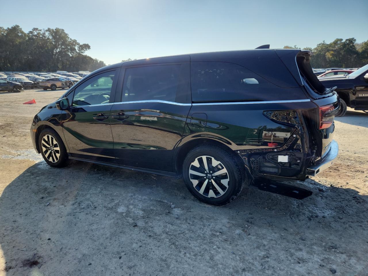 2025 HONDA ODYSSEY EXL photo 3
