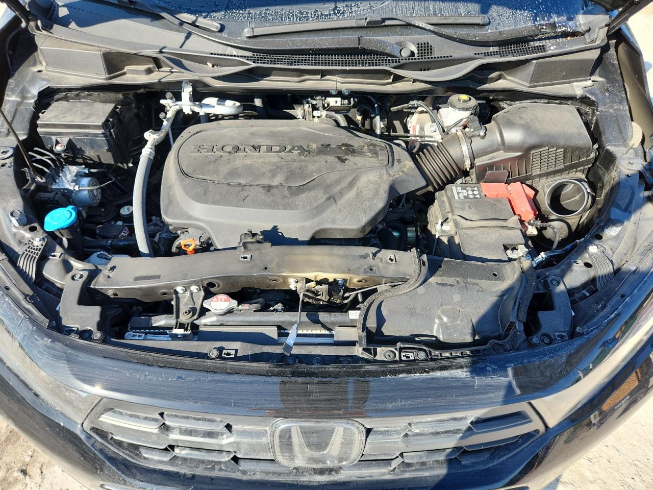 2025 HONDA ODYSSEY EXL photo 23