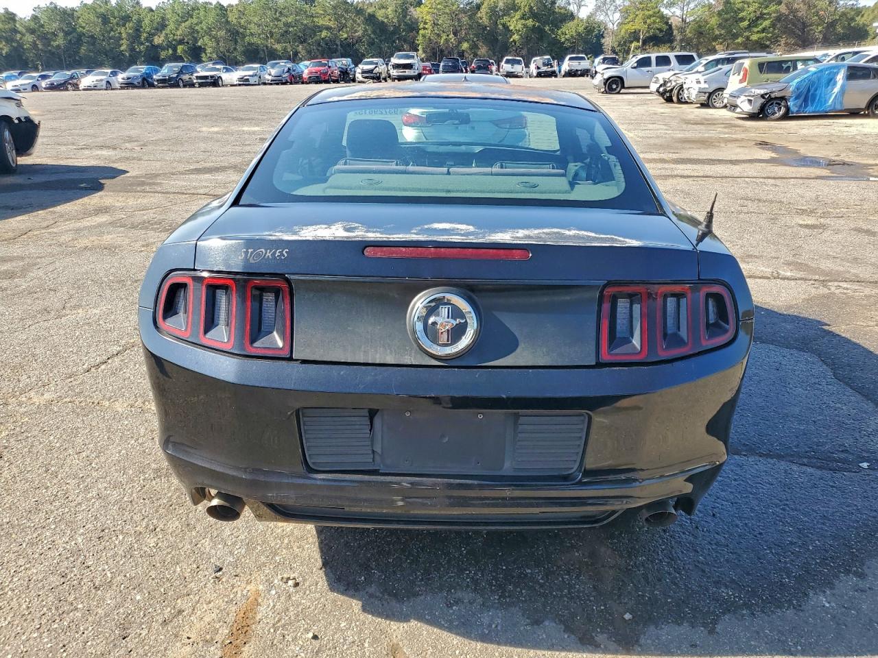 2014 FORD MUSTANG photo 11