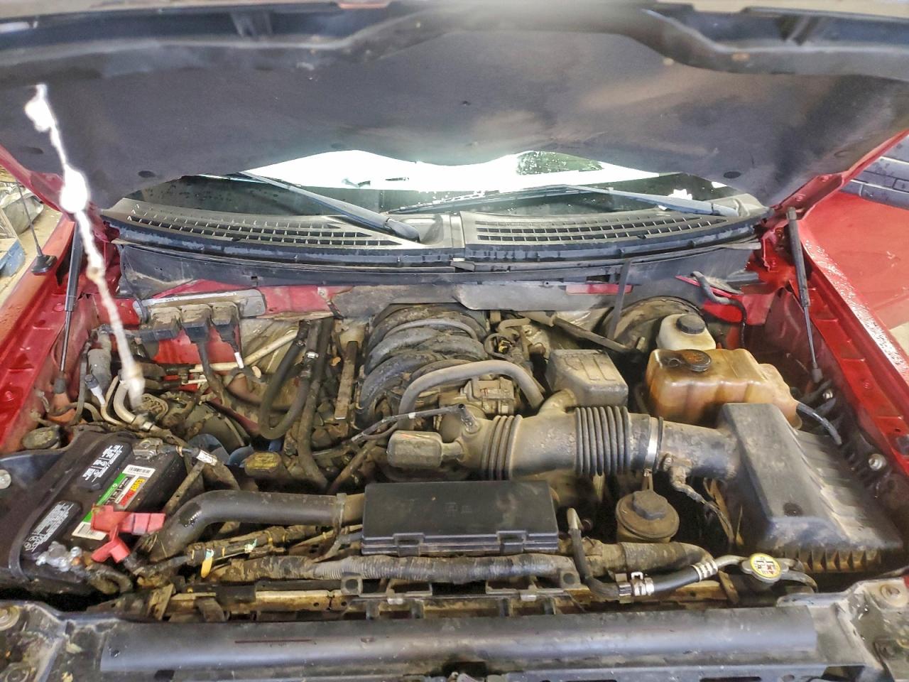 2009 FORD F150 photo 11