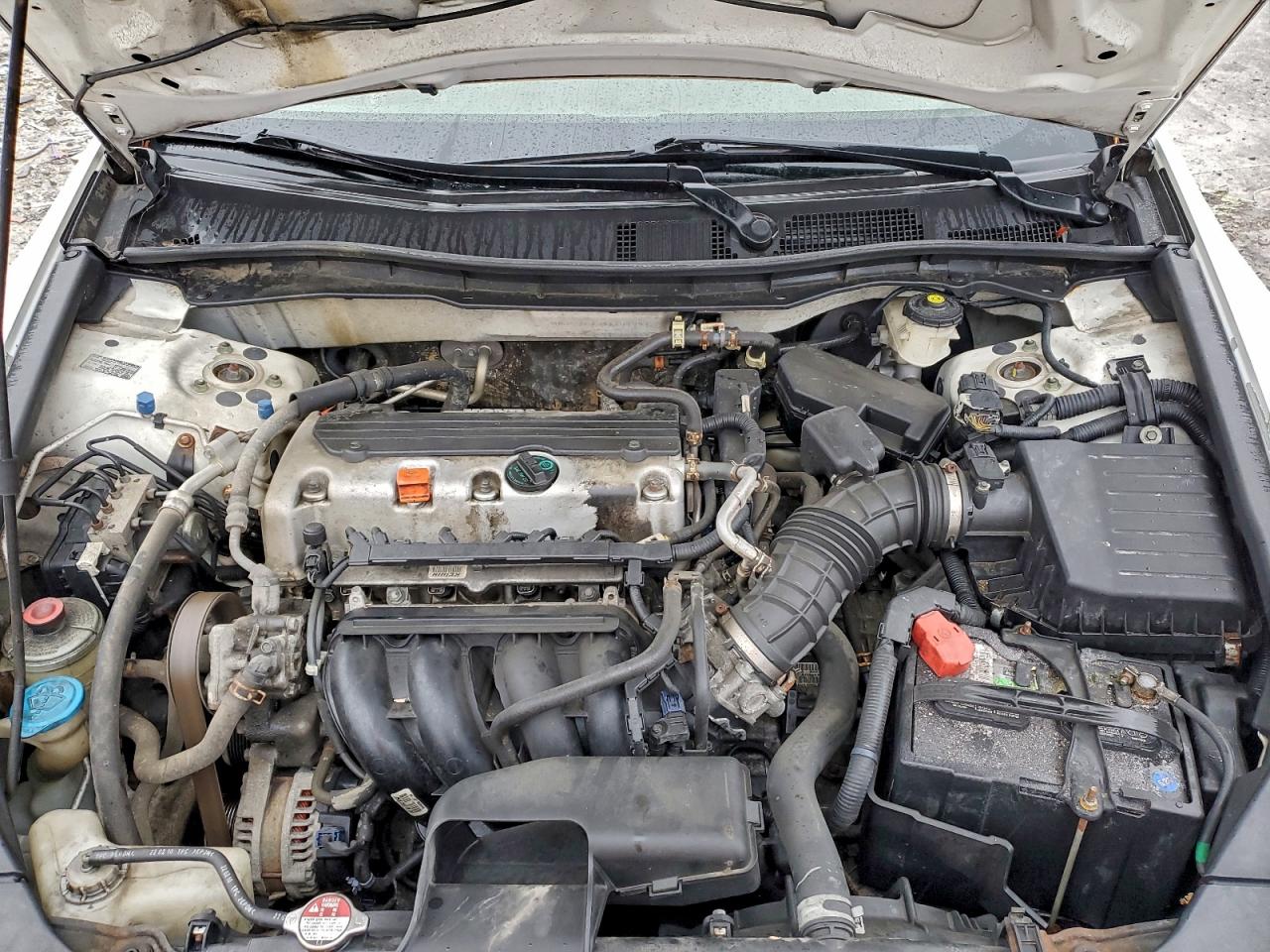 2010 HONDA ACCORD LXP photo 11
