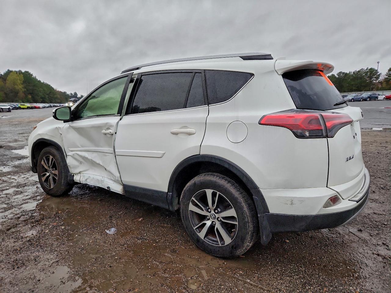 2017 TOYOTA RAV4 XLE photo 3