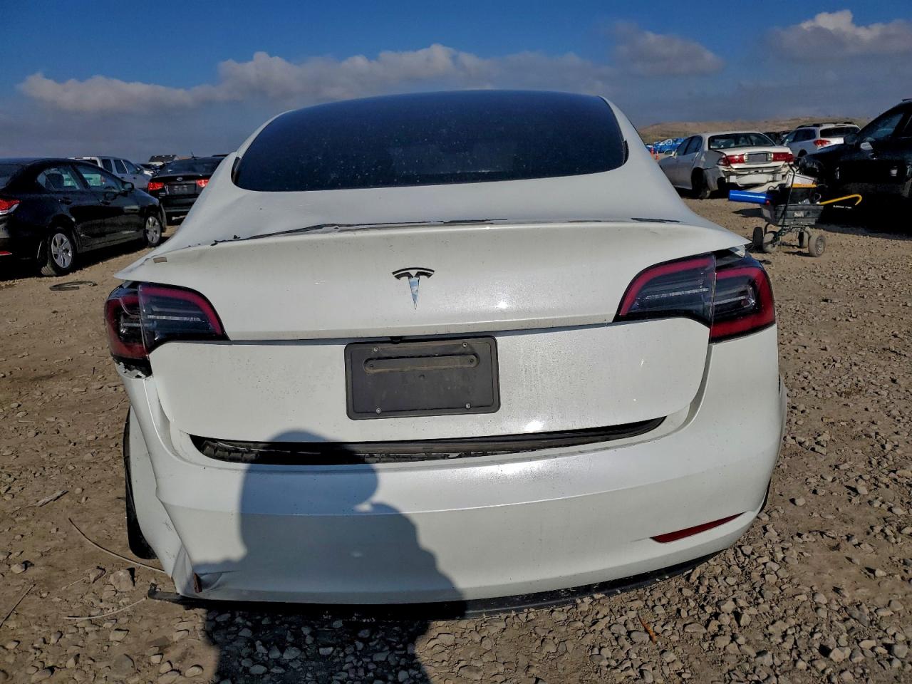 2023 TESLA MODEL 3 photo 11
