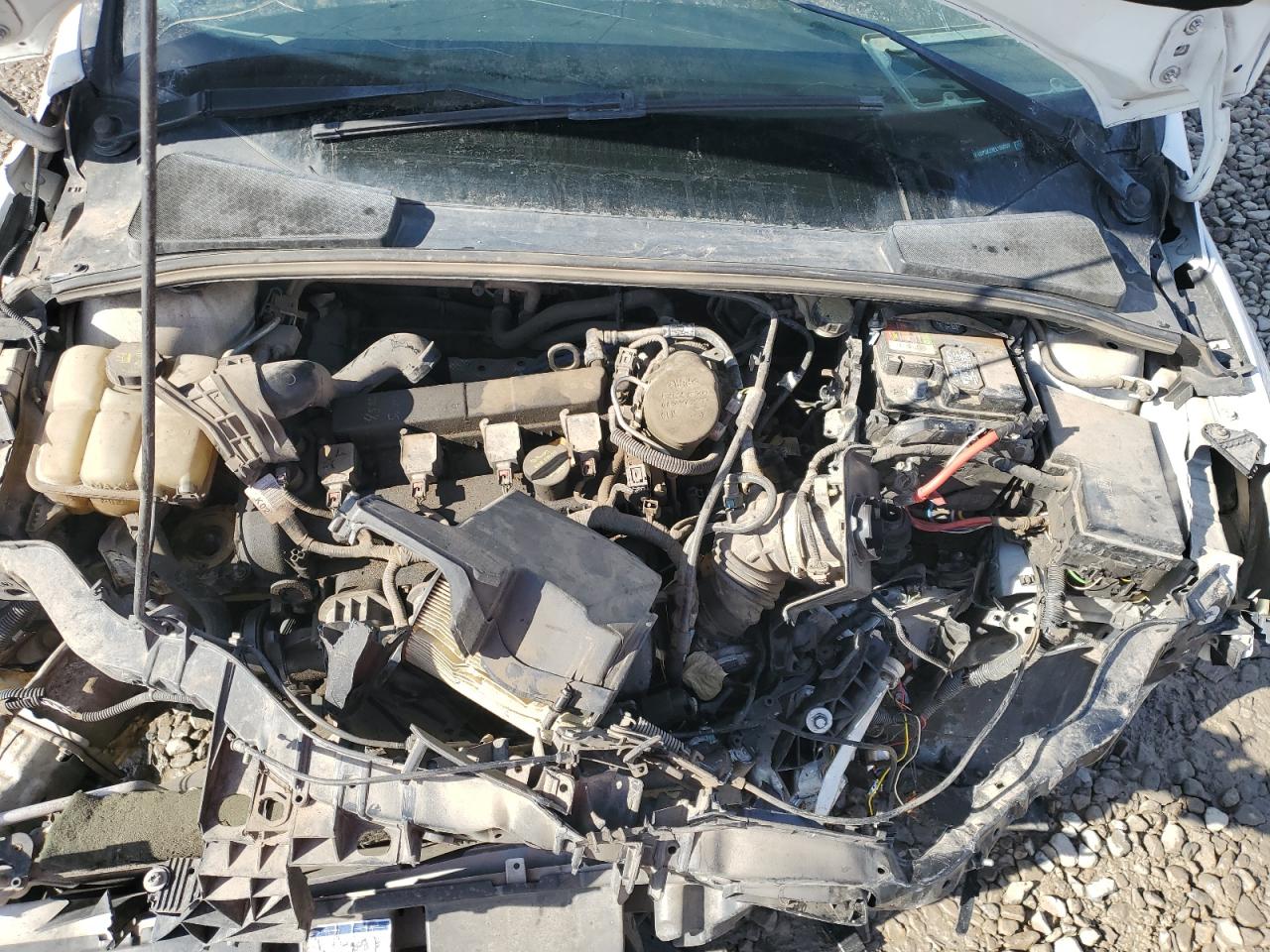 2014 FORD FOCUS SE photo 41