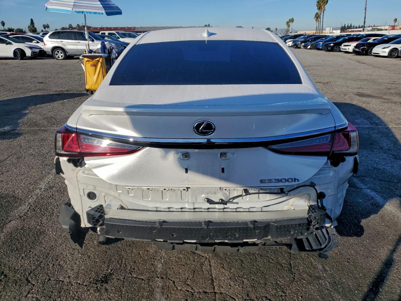 2021 LEXUS ES 300H BASE photo 6