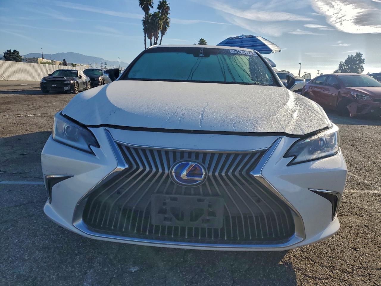 2021 LEXUS ES 300H BASE photo 5