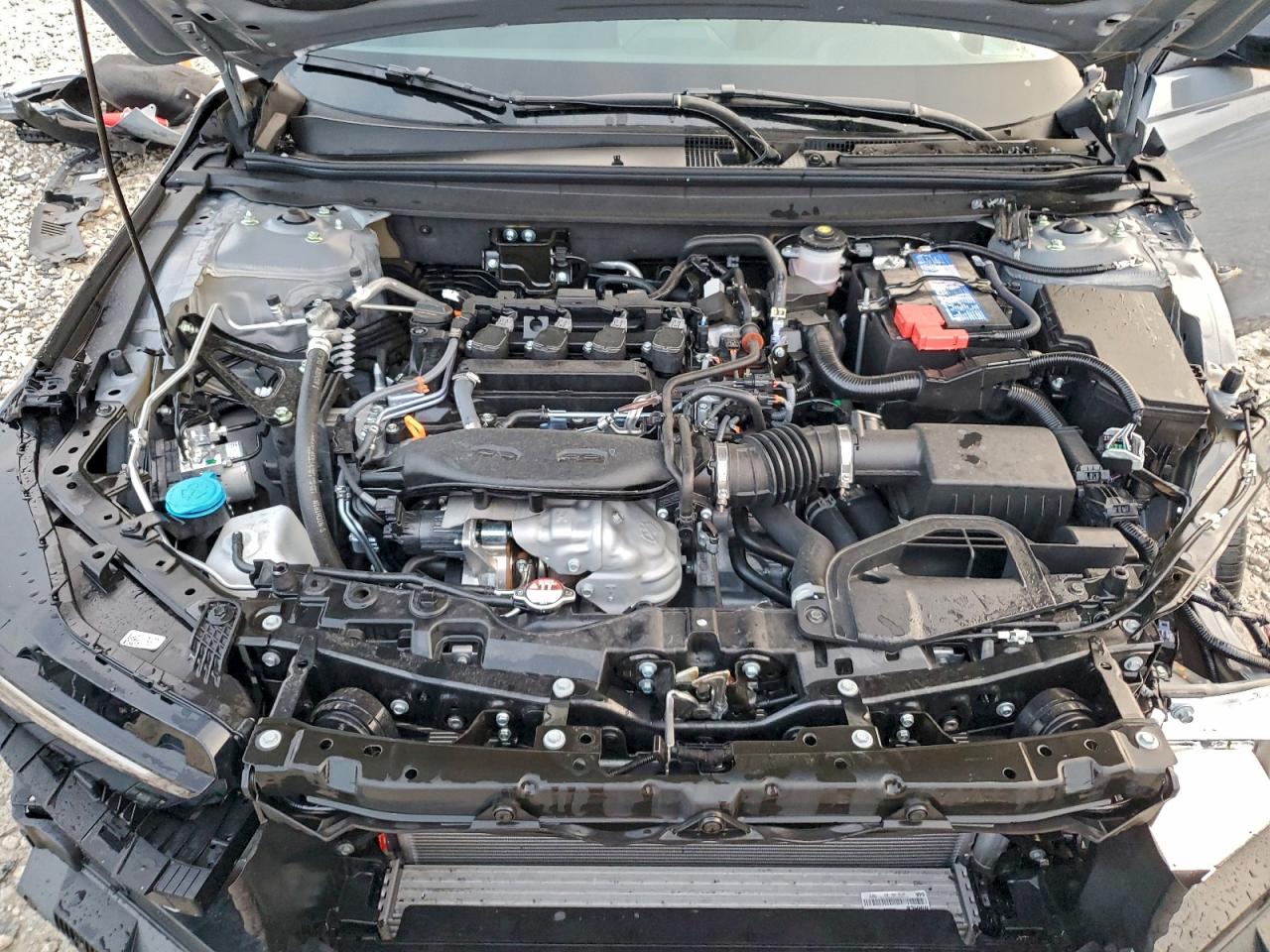 2025 HONDA ACCORD SE photo 11