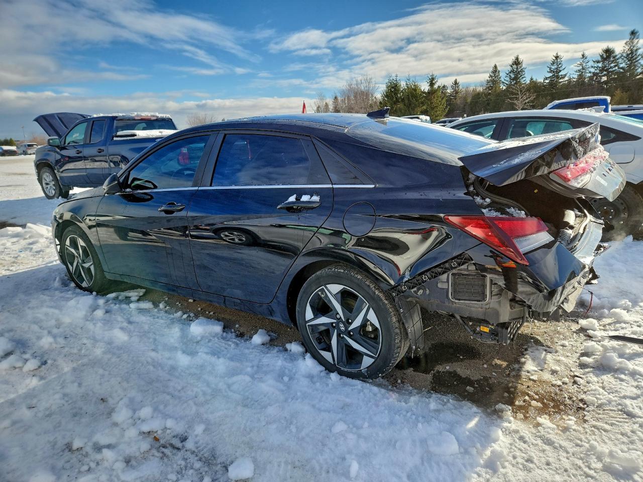 2023 HYUNDAI ELANTRA LIMITED photo 3