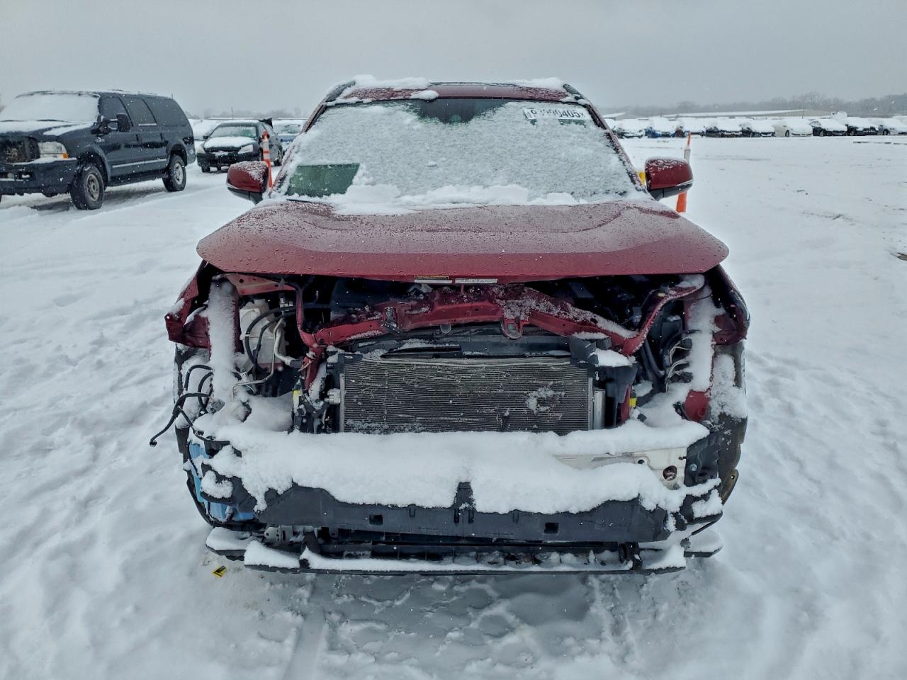 2019 TOYOTA RAV4 LIMITED photo 5
