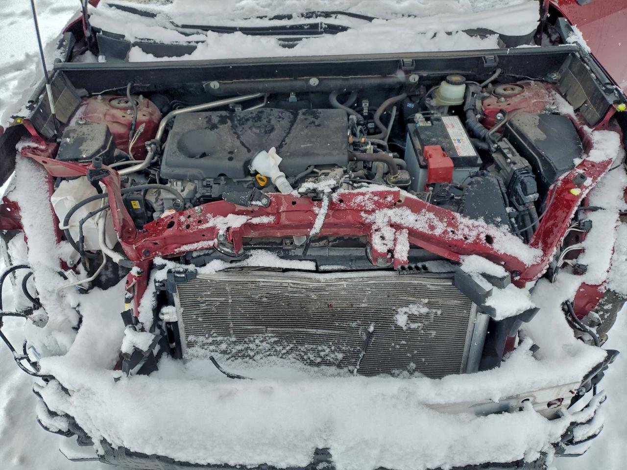 2019 TOYOTA RAV4 LIMITED photo 11