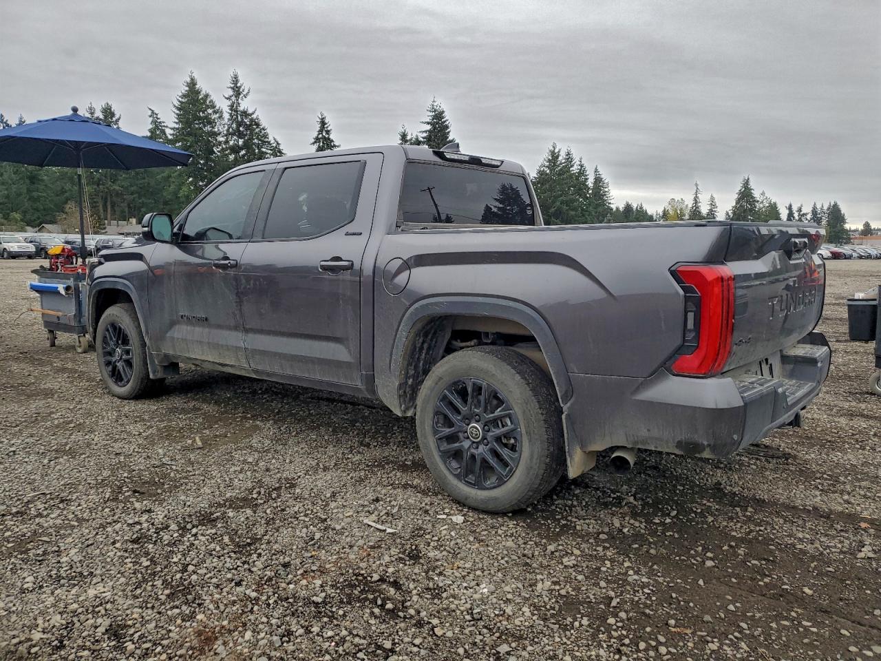 2024 TOYOTA TUNDRA CREWMAX LIMITED photo 2