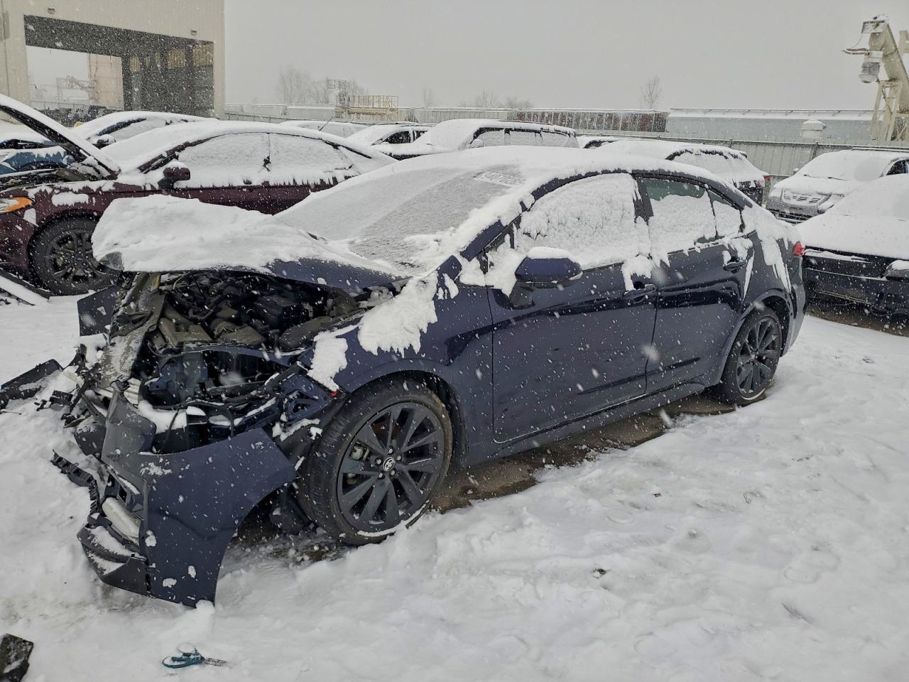 2023 TOYOTA COROLLA