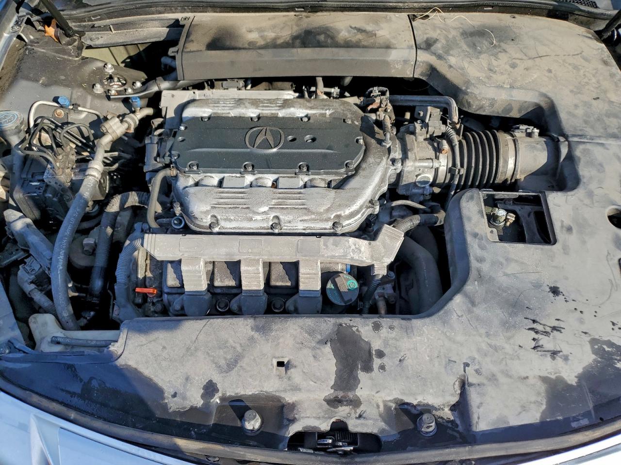 2010 ACURA TL photo 11