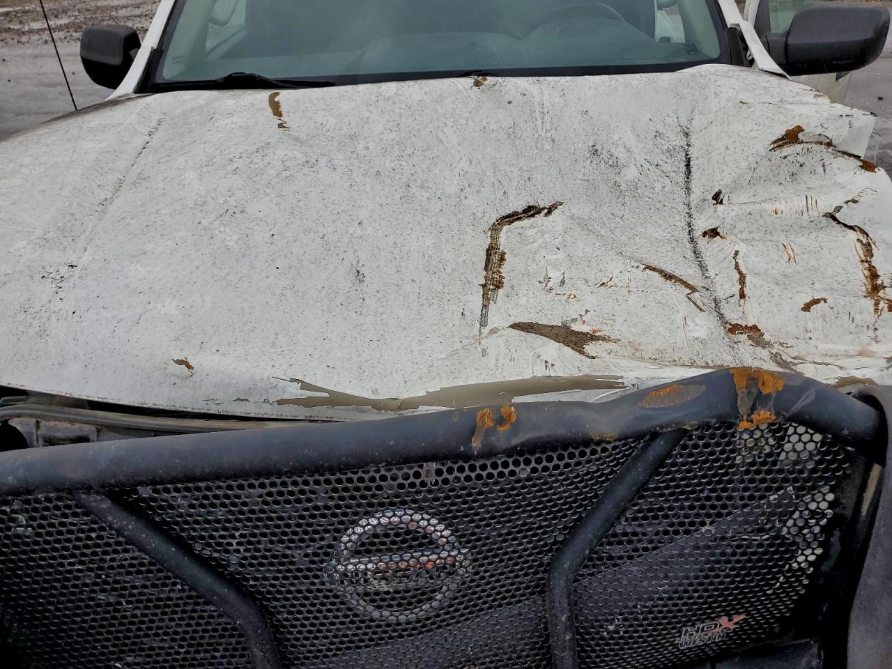 2018 NISSAN TITAN XD S photo 11