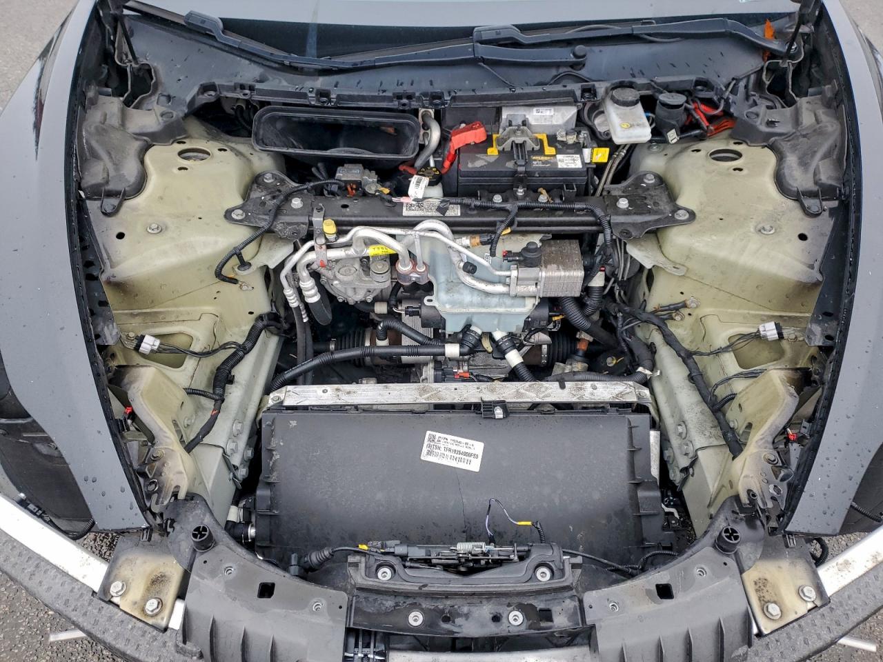 2020 TESLA MODEL 3 photo 11
