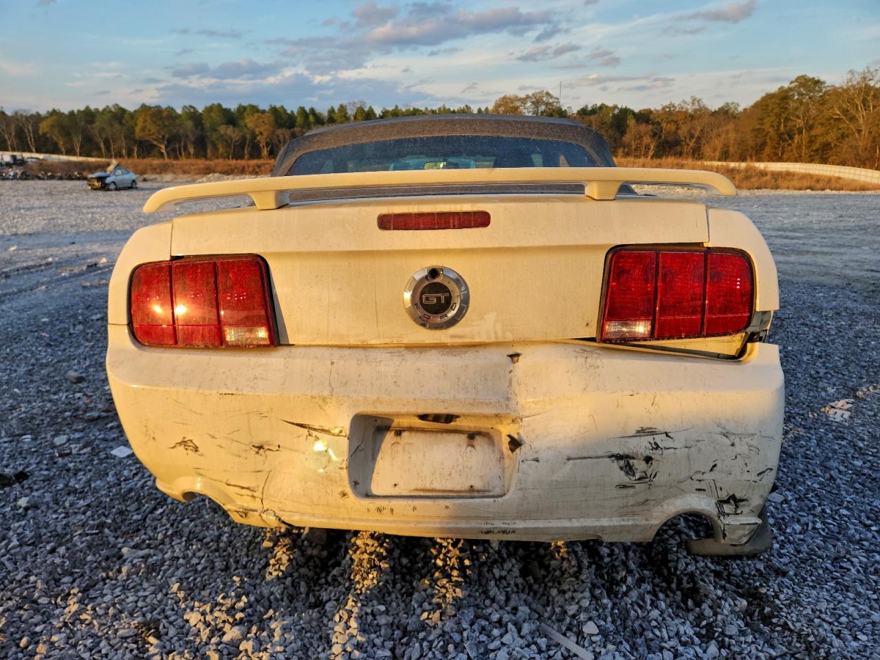 2006 FORD MUSTANG GT photo 6
