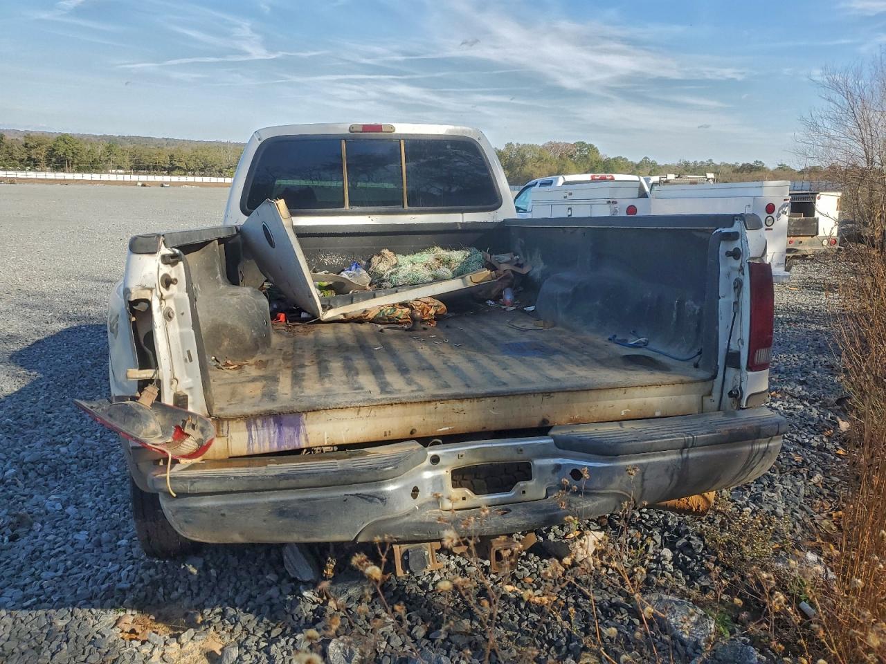2002 FORD SUPER DUTY F-350 W/D photo 6
