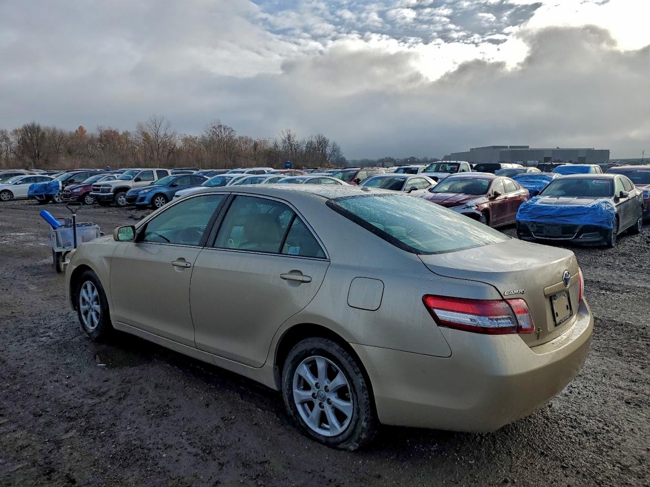 2011 TOYOTA CAMRY photo 3