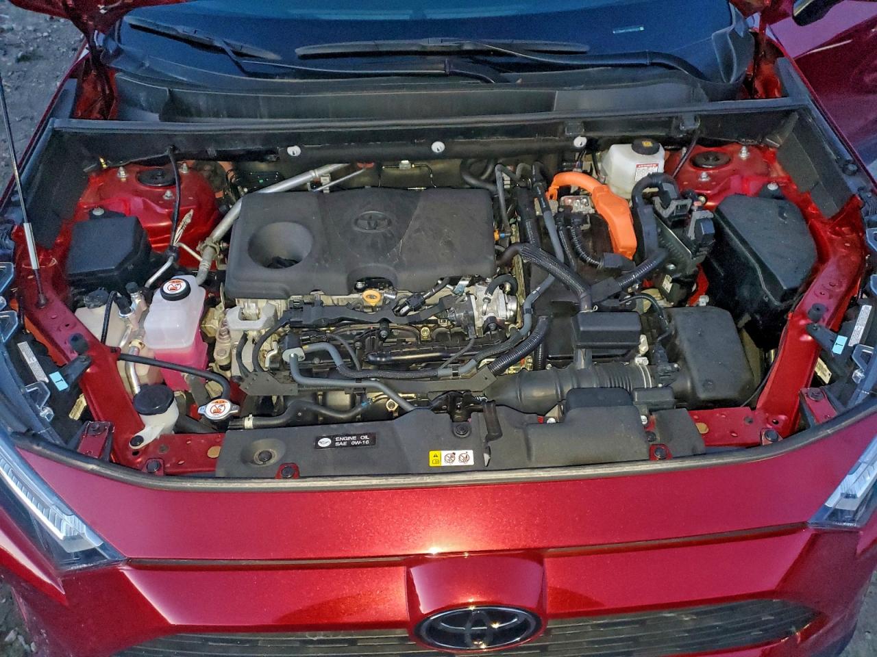 2025 TOYOTA RAV4 XLE photo 12