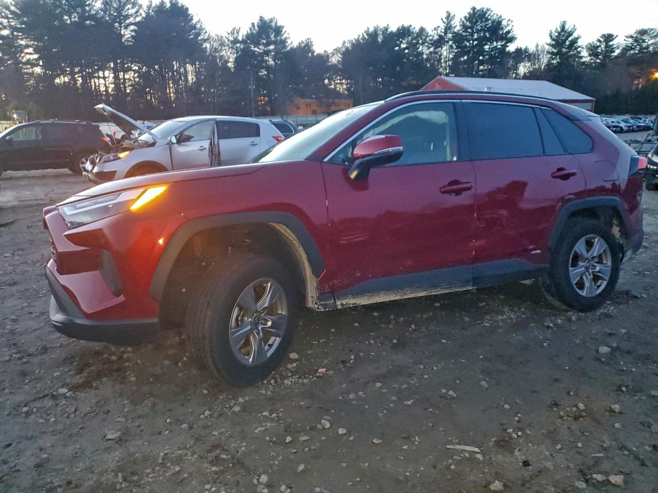 2025 TOYOTA RAV4