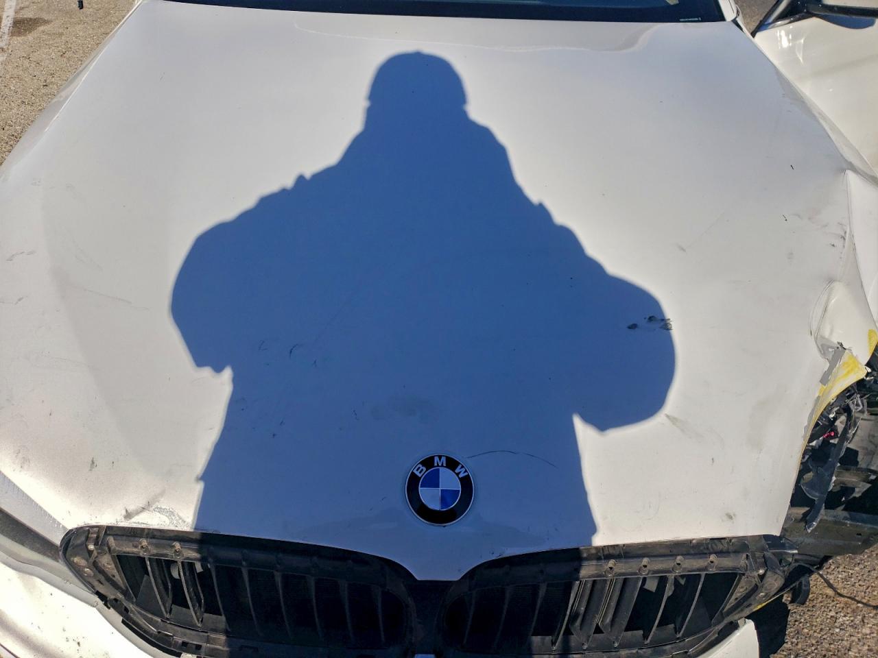 2019 BMW 530E photo 11