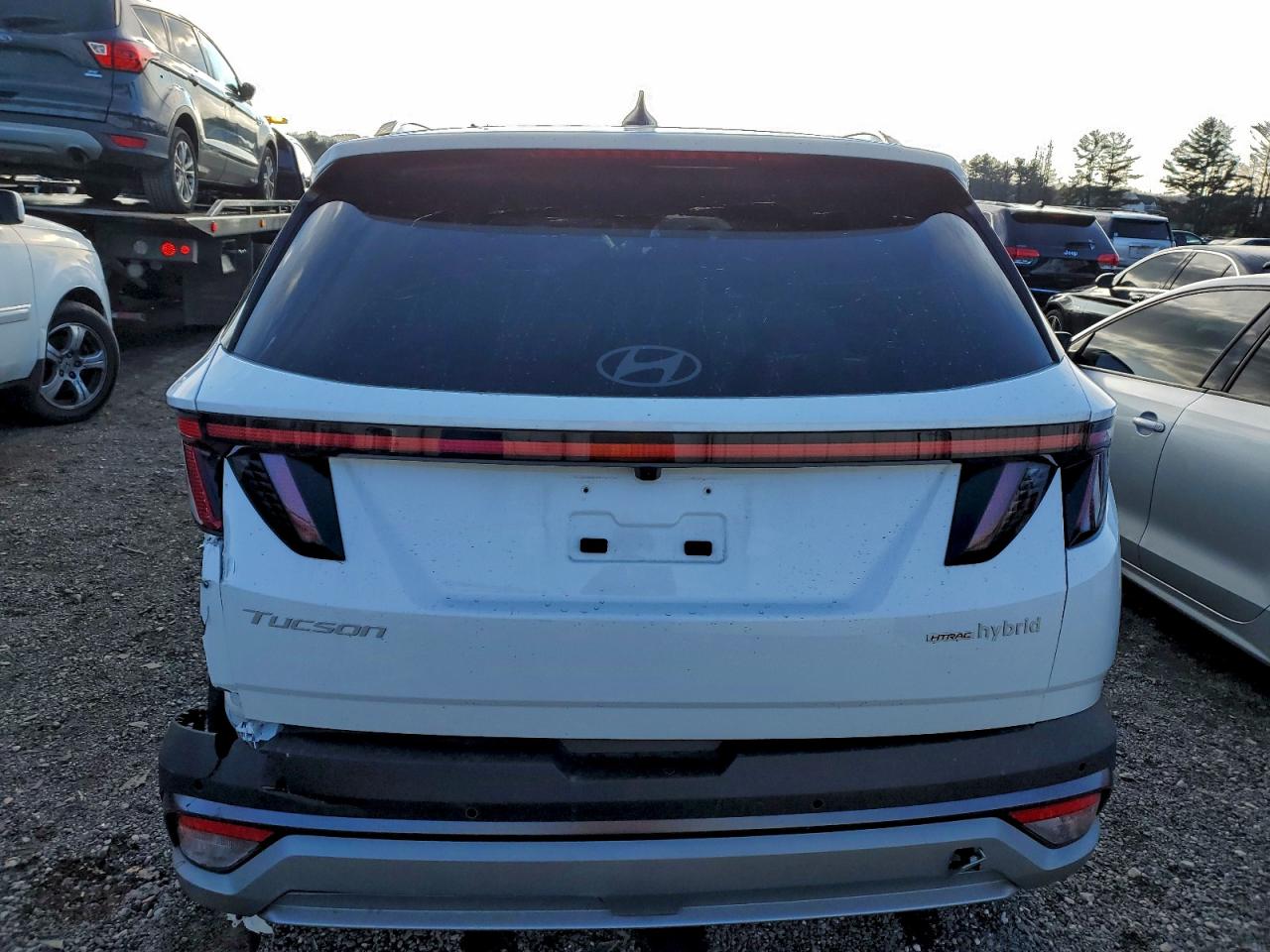 2025 HYUNDAI TUCSON LIMITED photo 6