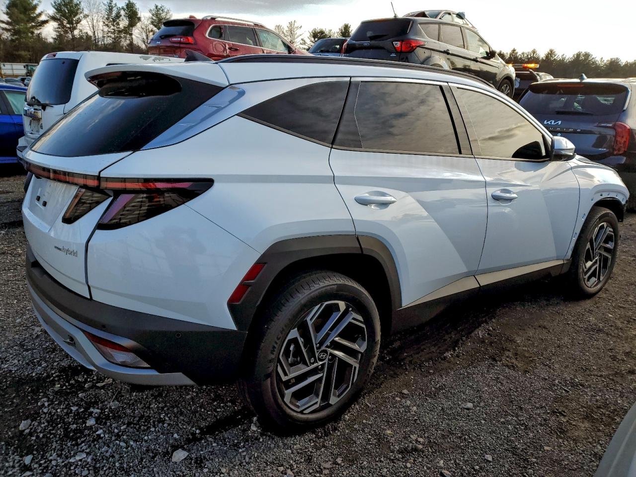 2025 HYUNDAI TUCSON LIMITED photo 3