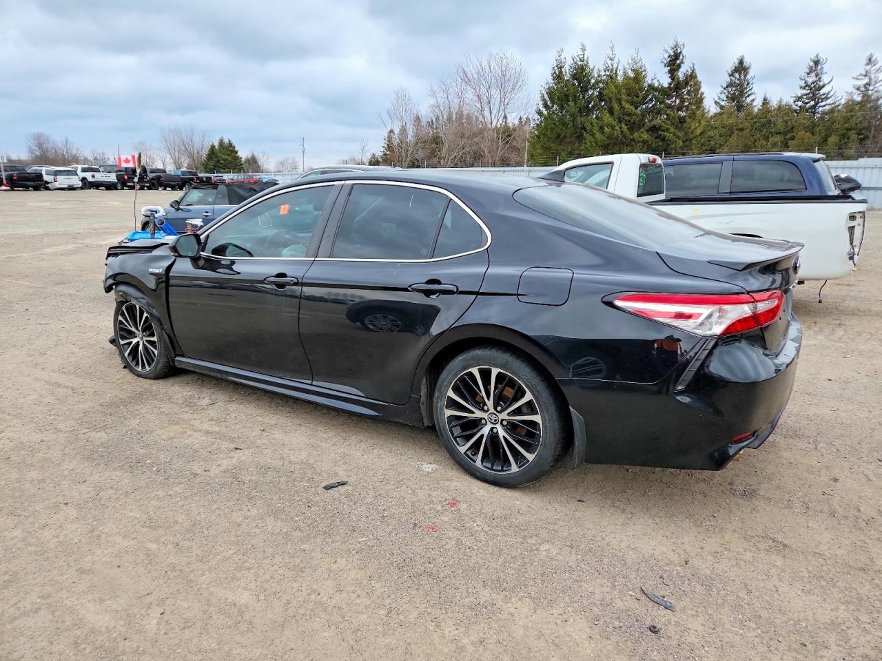 2020 TOYOTA CAMRY XLE photo 3