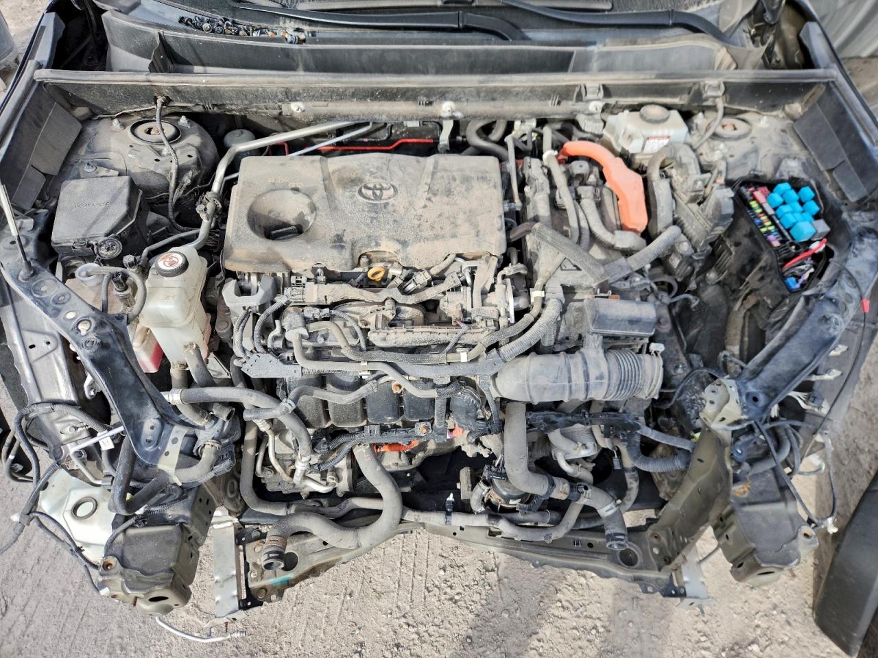 2019 TOYOTA RAV4 LE photo 21