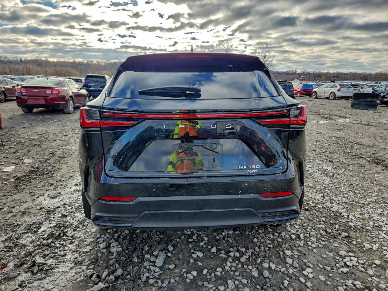 2024 LEXUS NX 350 PREMIUM photo 6