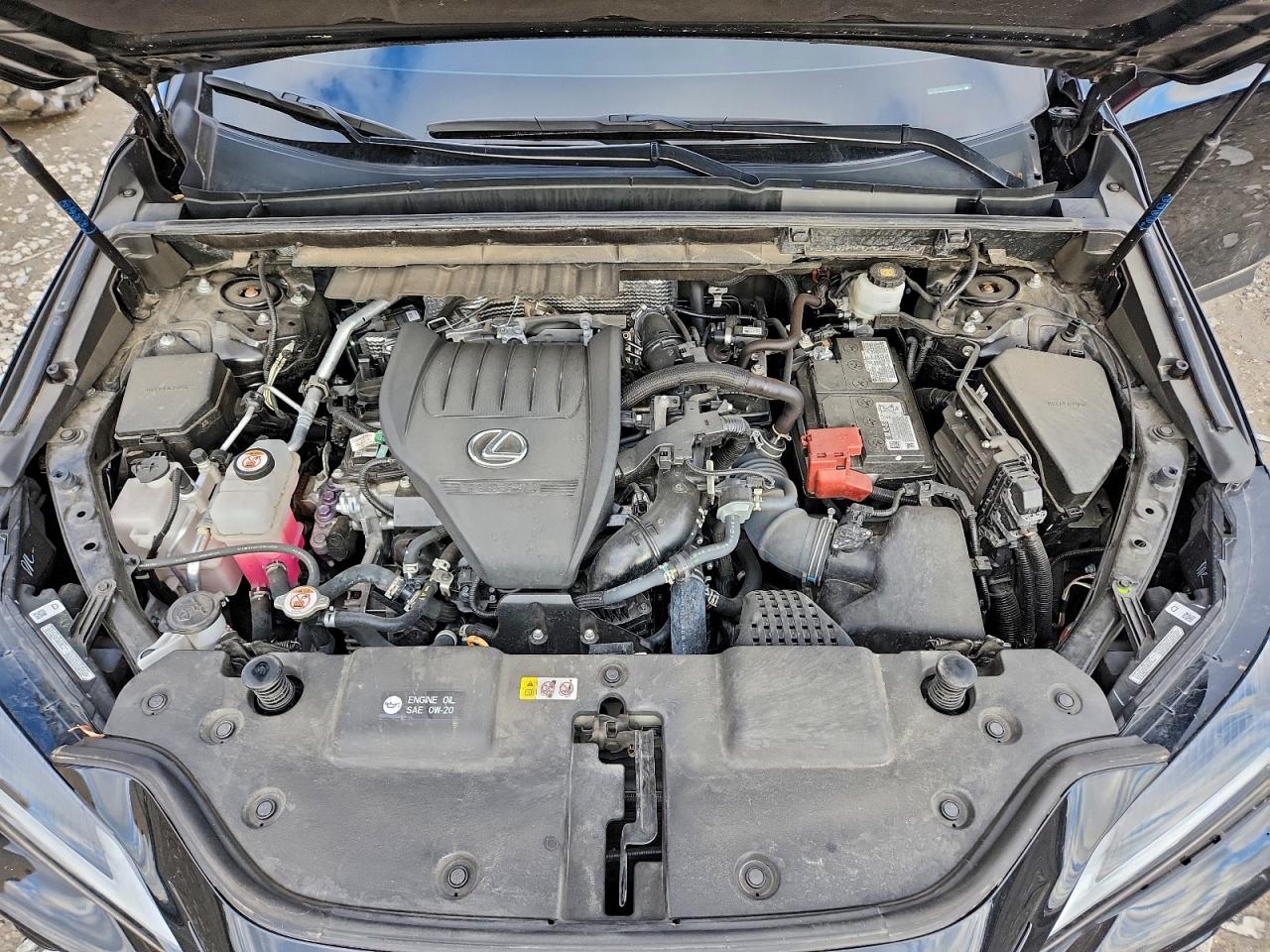 2024 LEXUS NX 350 PREMIUM photo 12