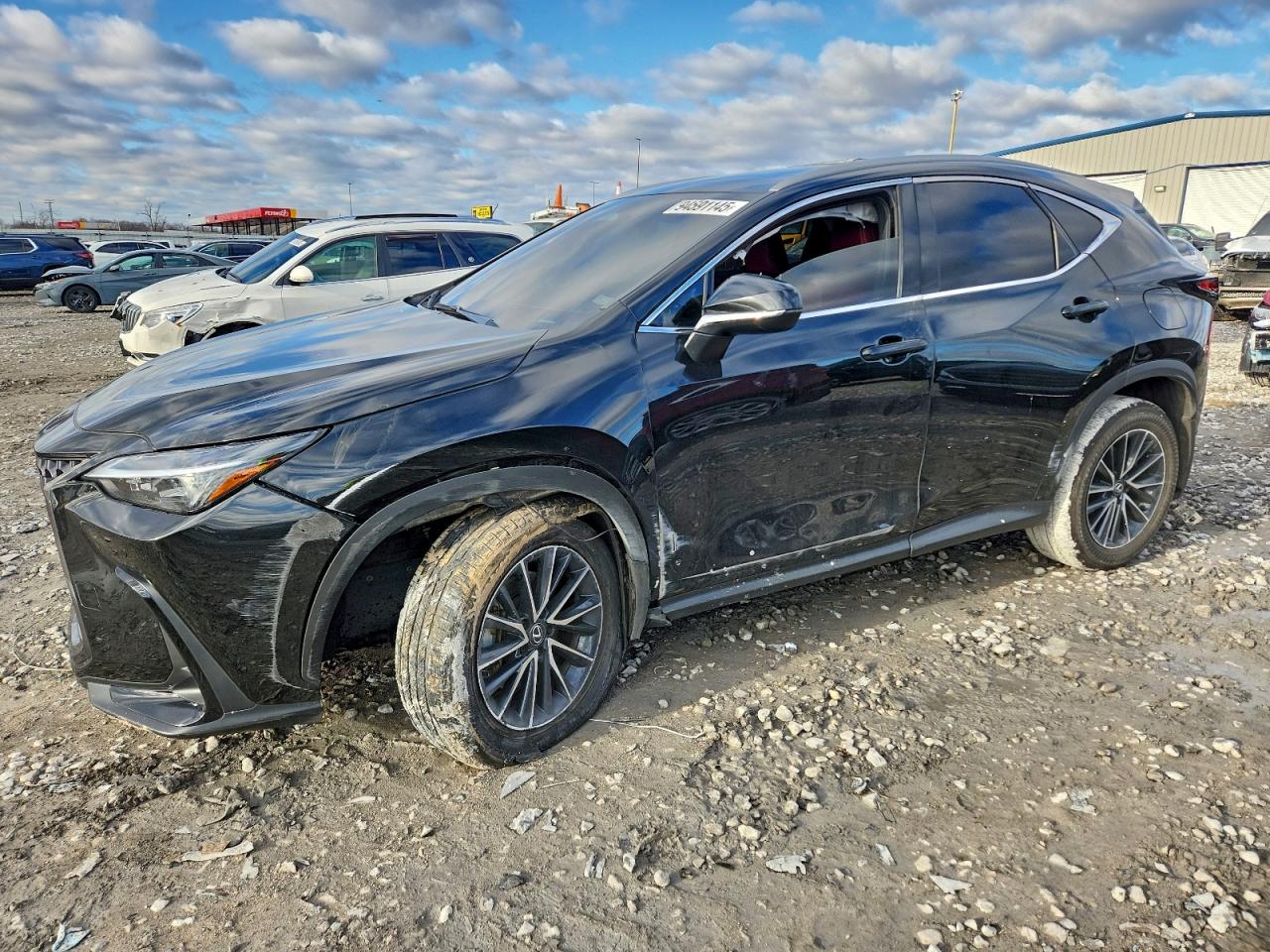 2024 LEXUS NX