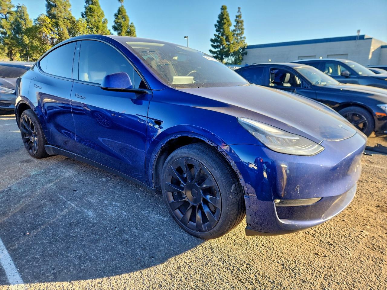 2021 TESLA MODEL Y photo 7