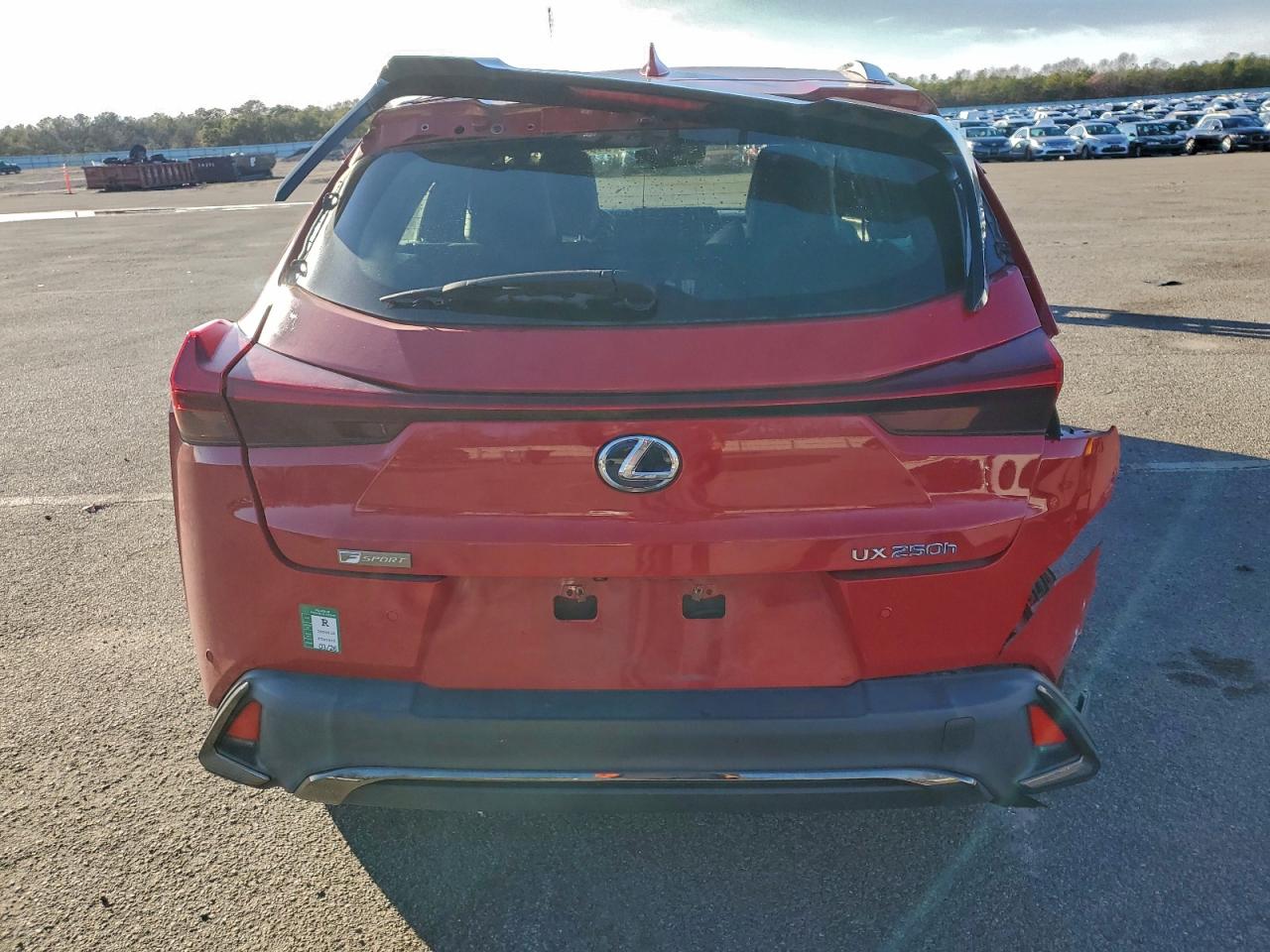 2019 LEXUS UX 250H photo 6