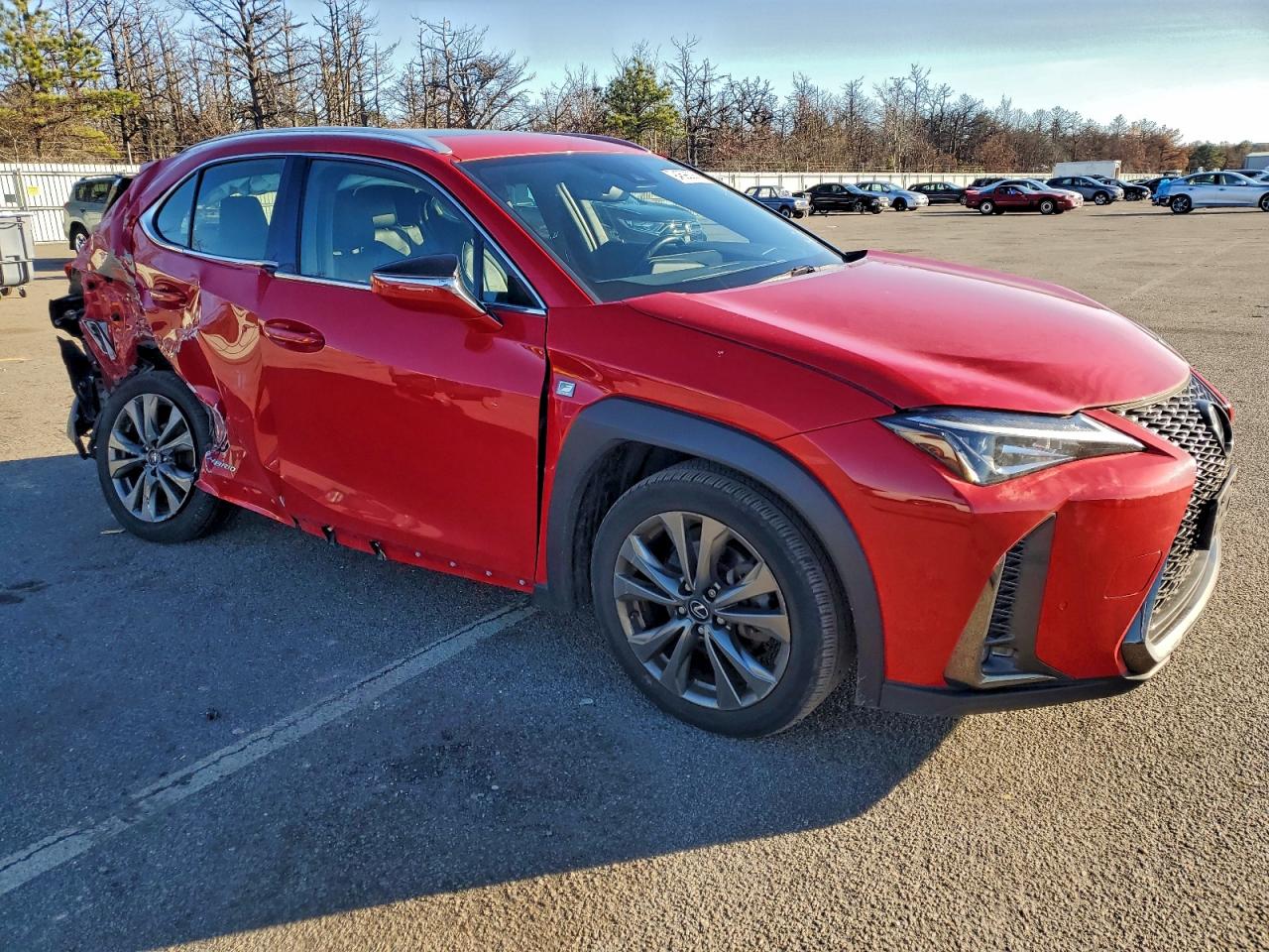2019 LEXUS UX 250H photo 4
