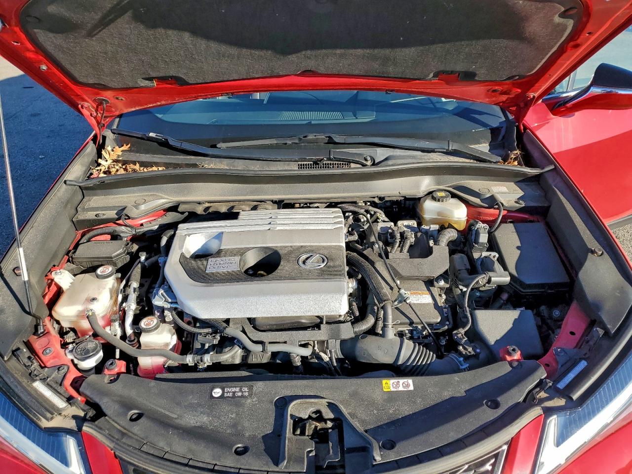 2019 LEXUS UX 250H photo 11
