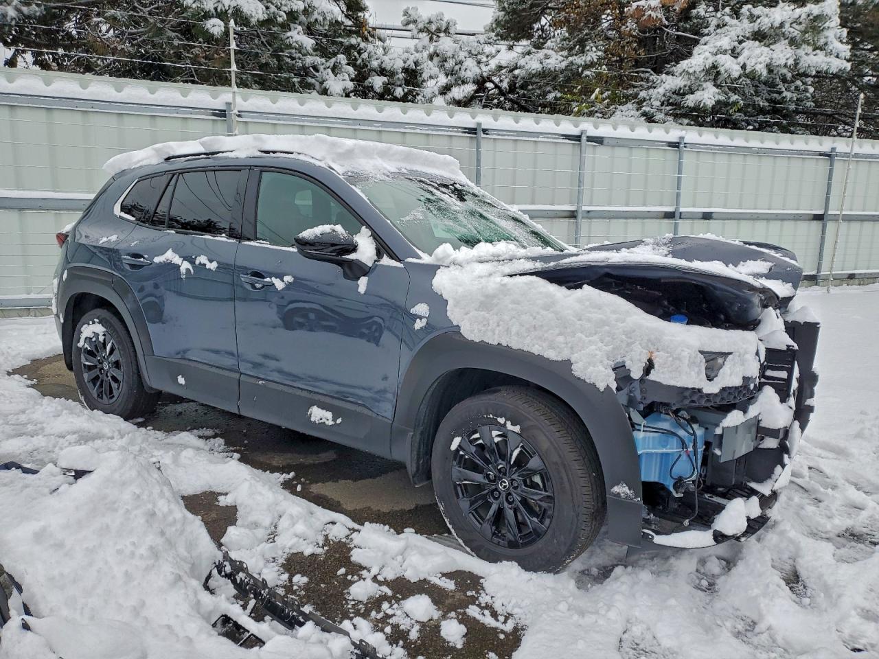 2025 MAZDA CX-50 PREMIUM photo 10