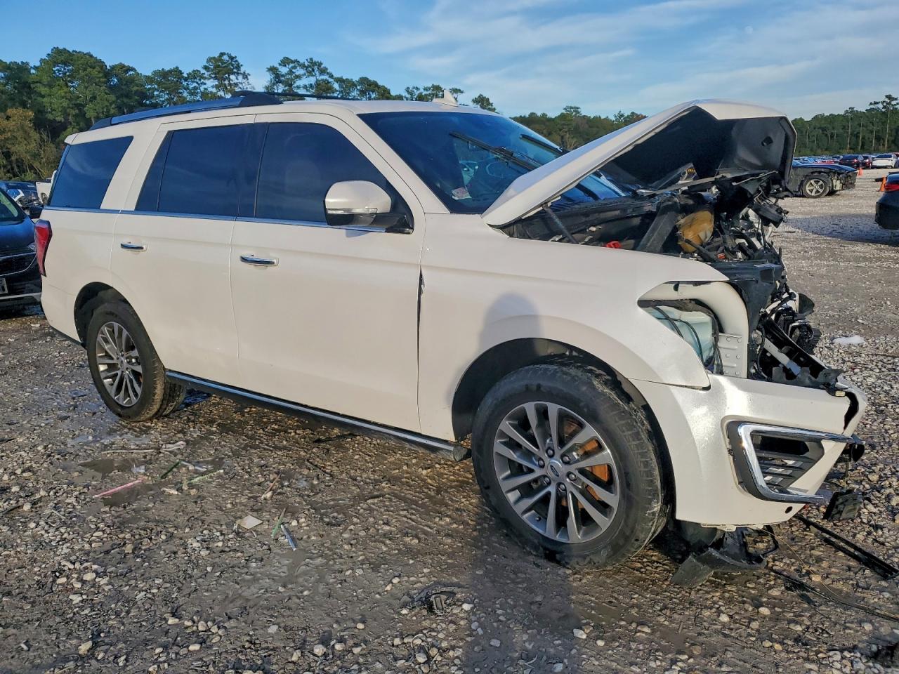 2018 FORD EXPEDITION LIMITED photo 4