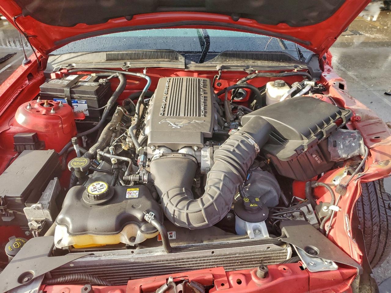 2008 FORD MUSTANG GT photo 31