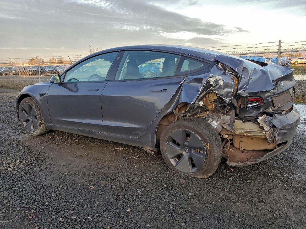2022 TESLA MODEL 3 photo 3